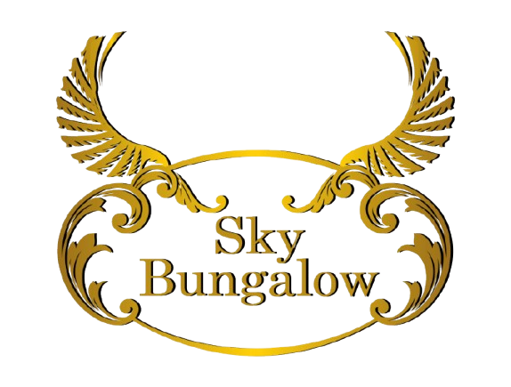 sky logo